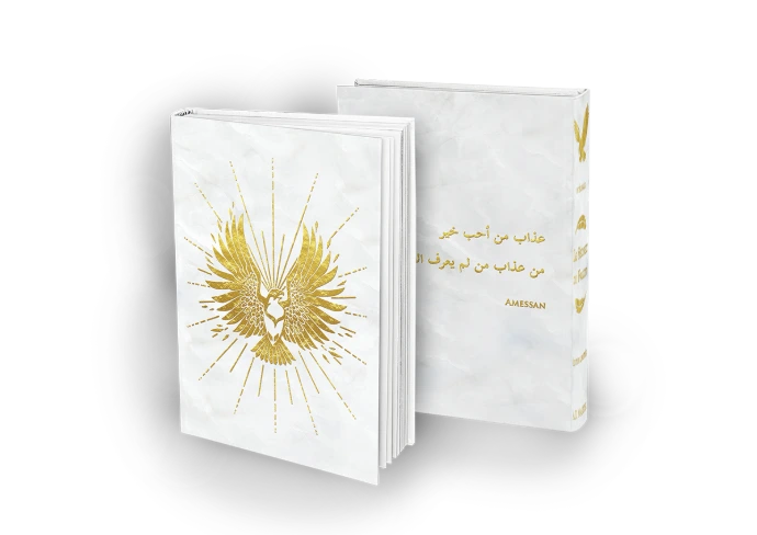 Visuel de l'intégrale