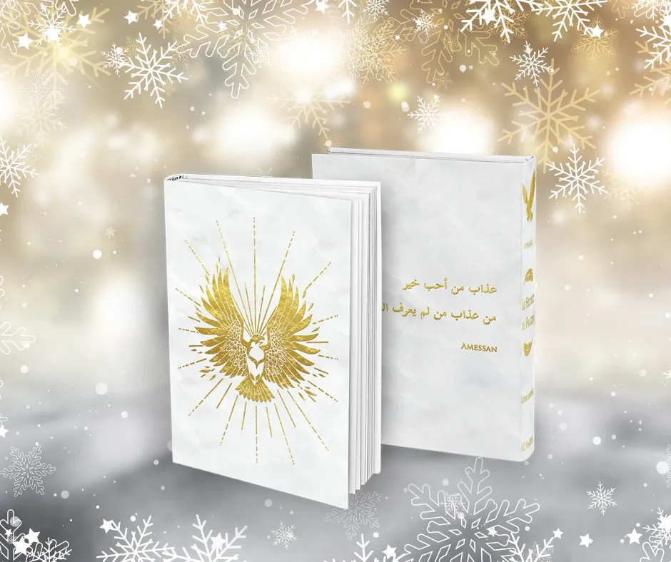 Intégrale : Le Secret du Faucon (5 tomes)